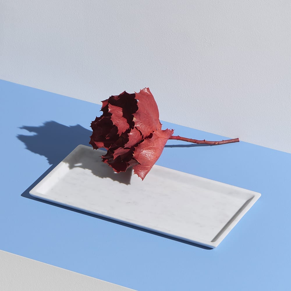 The Invisible Collection Vasco MMairo