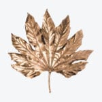 Aralia Wall Lamp