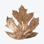 Quercifolia Wall Lamp