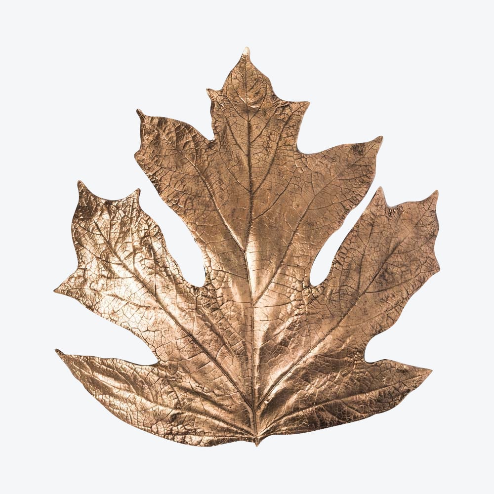 Quercifolia Wall Lamp