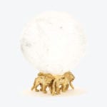 Lion Object