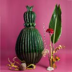 Crowned Cactus