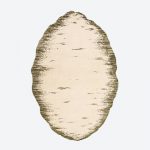 Vitesse Rug Oval