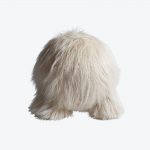 Atlas Pouf 1