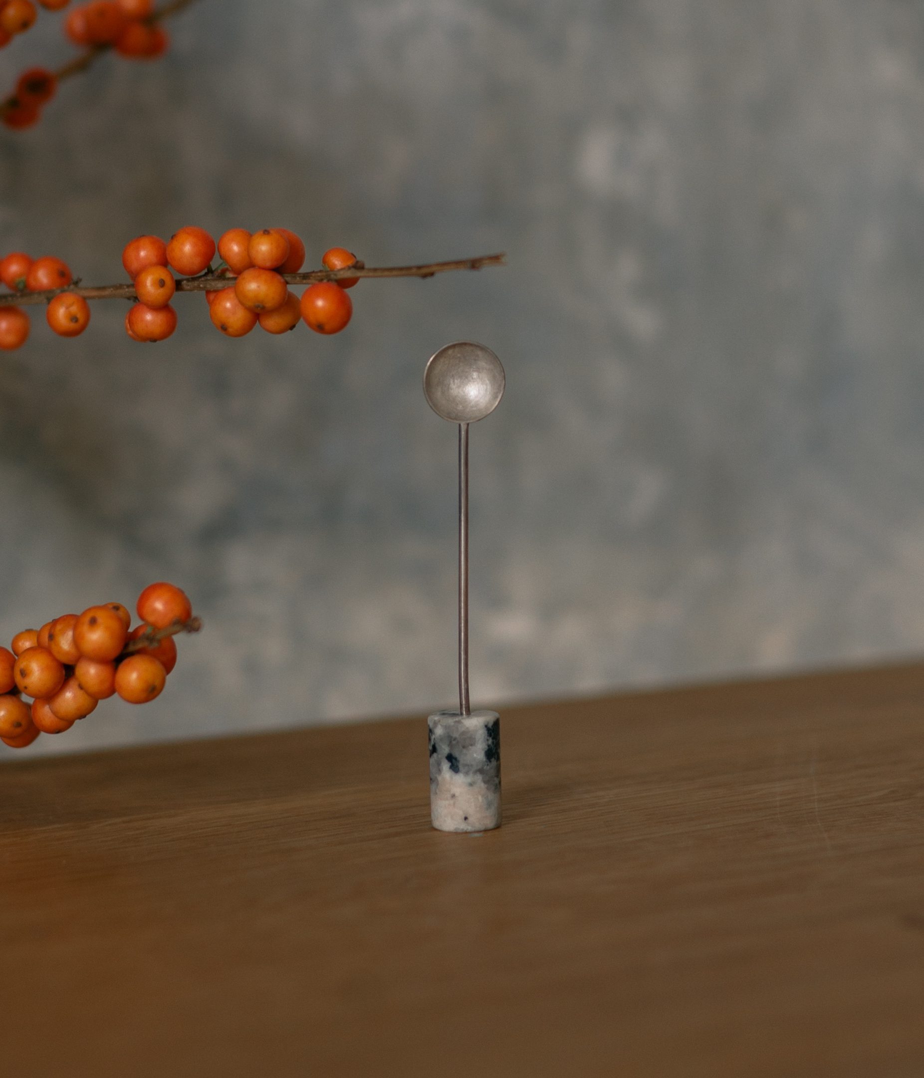 TheInvisibleCollection_Clubroom_NataliaCriado_MiniSilverSpoon_1