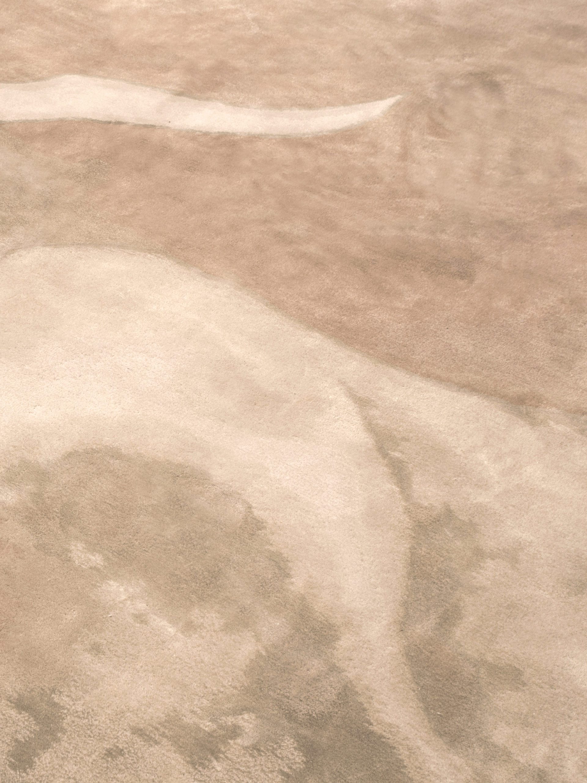 TheInvisibleCollection_Aline_Asmar_D_Amman_Iris_Blush_4