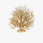 Coral Tree