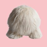 Atlas Pouf 1