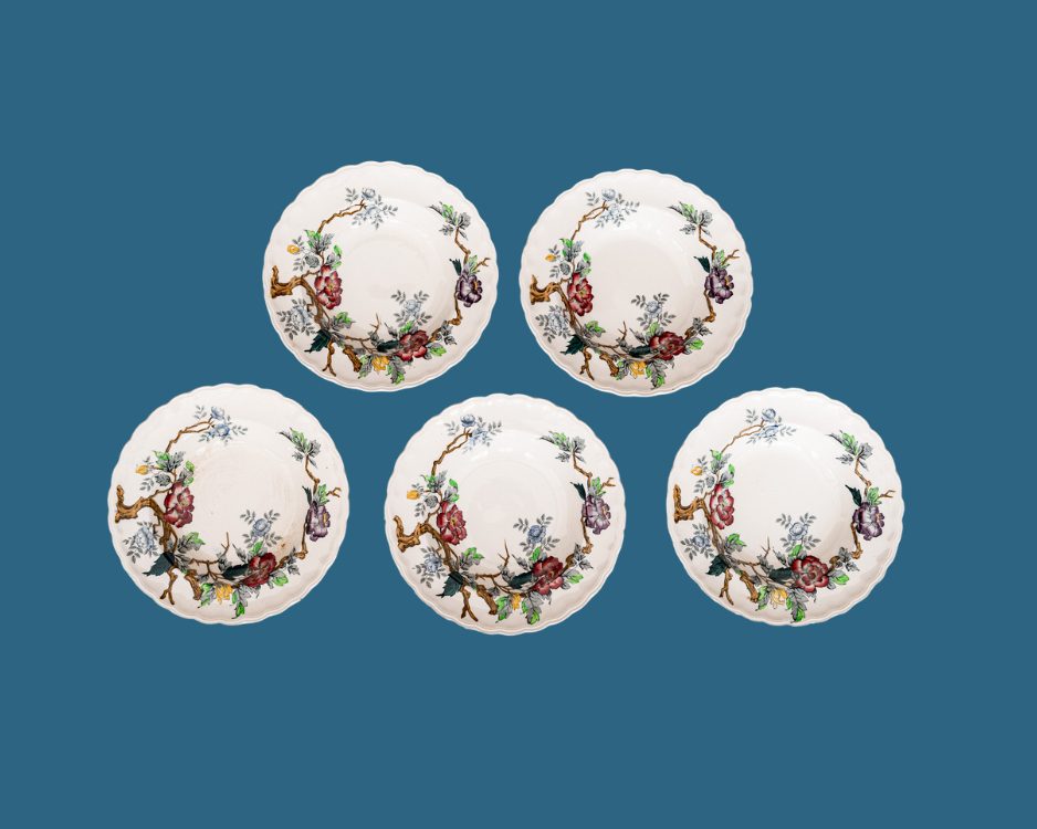 Set of 10 English Rose Soup Plates
