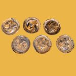 Set of 6 Presentation Plates Mustard