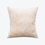 Feather Lace Cushion