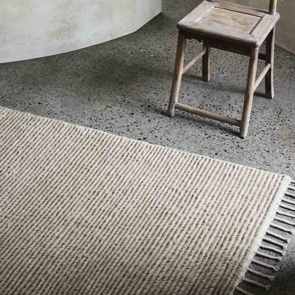 Armadillo - Grey Background - 22
