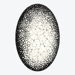 Egg Shell Rug Black
