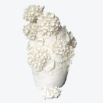 Hydrangea Vase